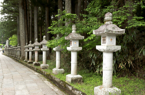 龍神を楽しむ
